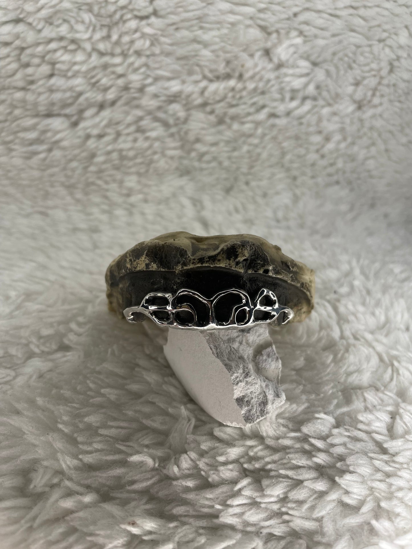 Grillz Projekt Z