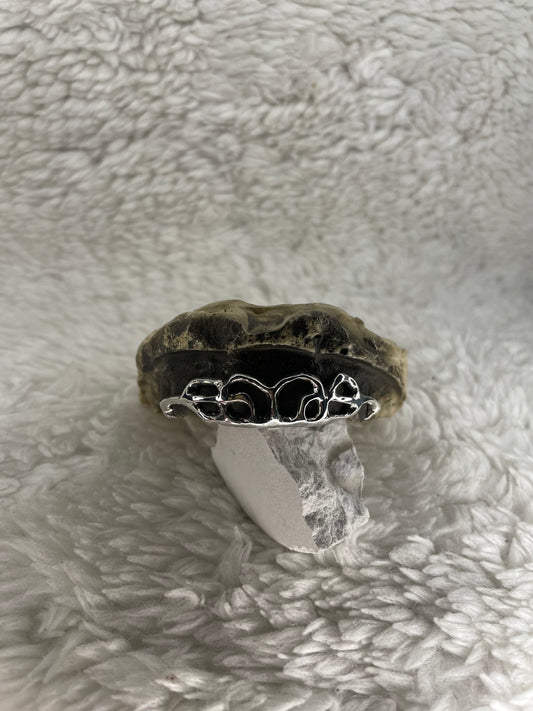 Grillz Projekt Z