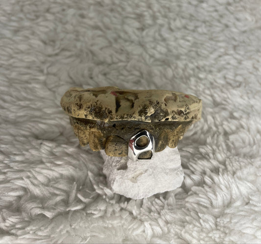Grillz Projekt Z