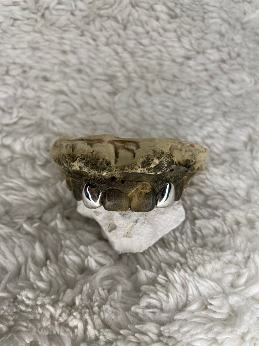 Grillz Projekt Z