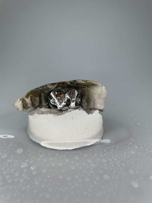 Grillz Projekt Z